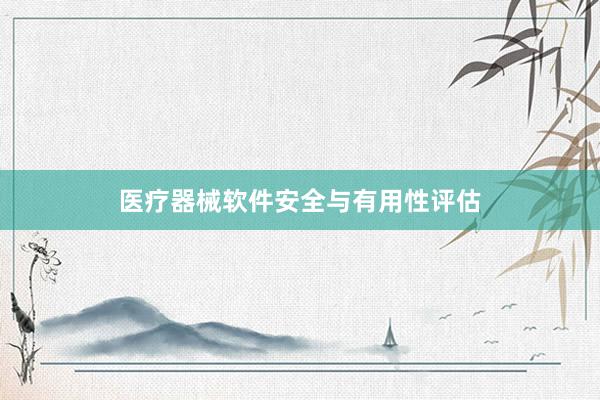 医疗器械软件安全与有用性评估