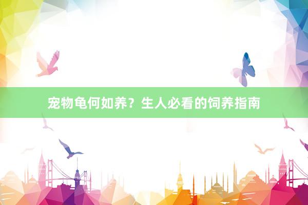 宠物龟何如养？生人必看的饲养指南