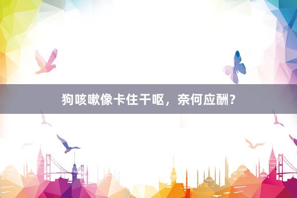 狗咳嗽像卡住干呕，奈何应酬？
