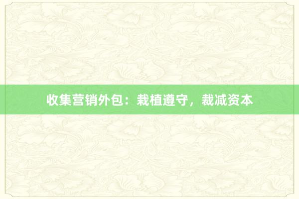 收集营销外包：栽植遵守，裁减资本